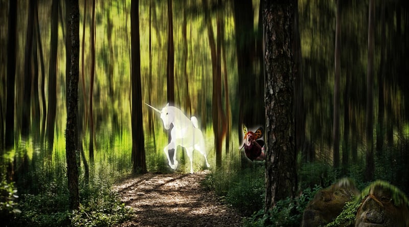 Whimsical Woodland
